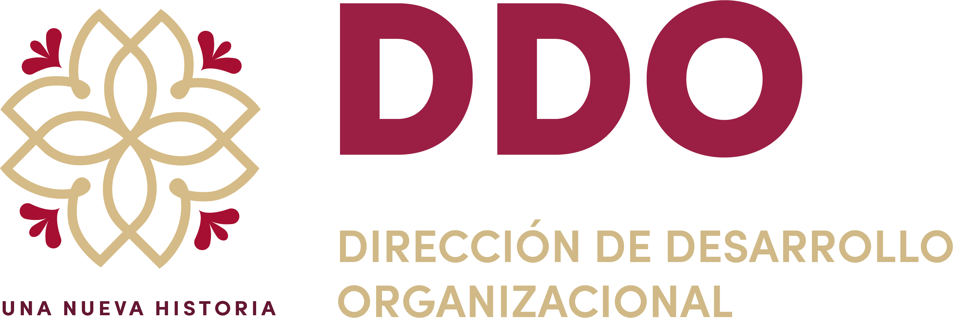 Logo DDO